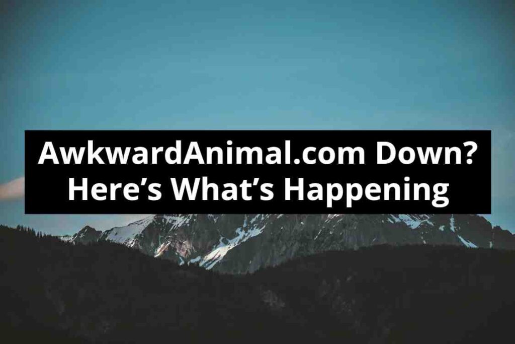AwkwardAnimal.com Down? Here’s What’s Happening