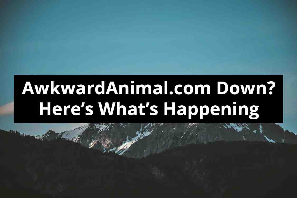 AwkwardAnimal.com Down? Here’s What’s Happening